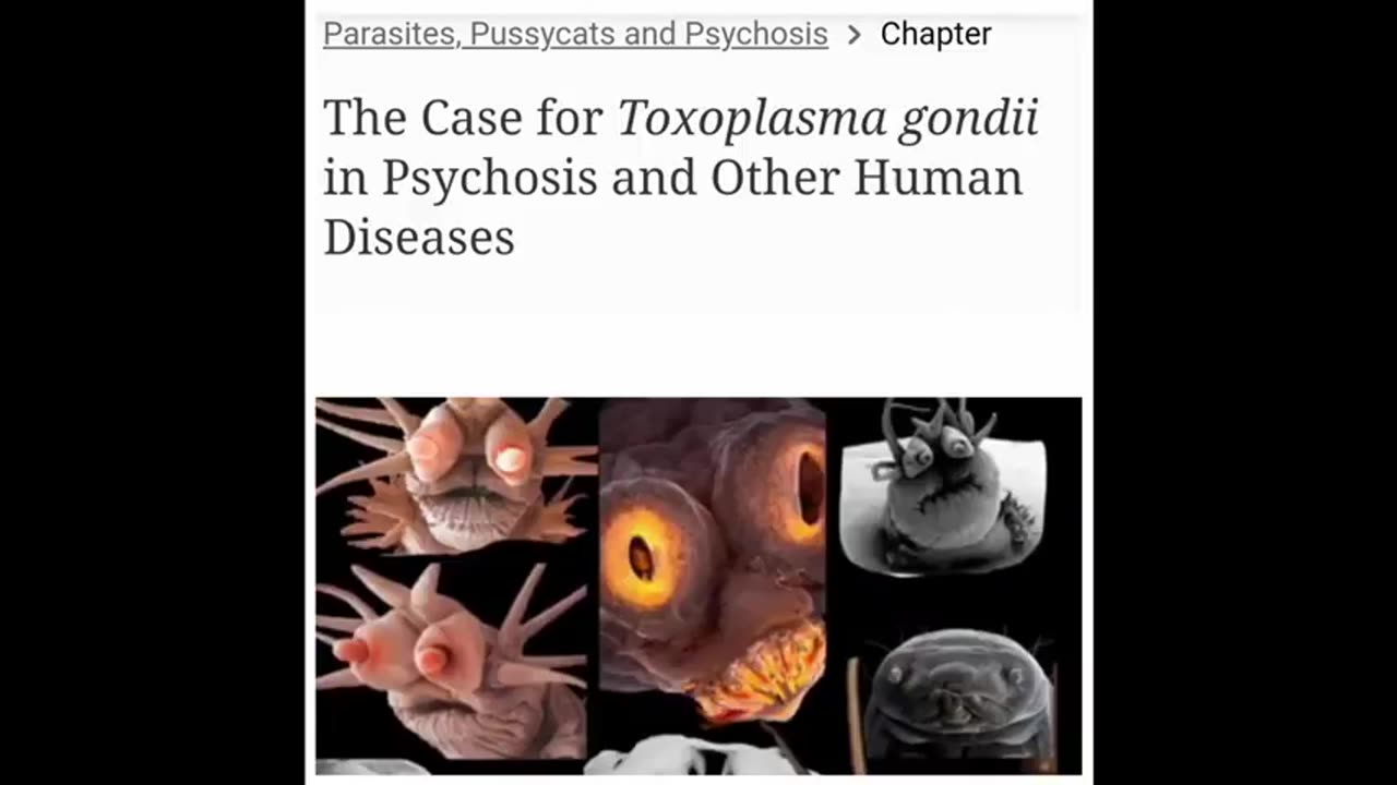 ALPHA TALKZ: PARASITES ARE DEMONS