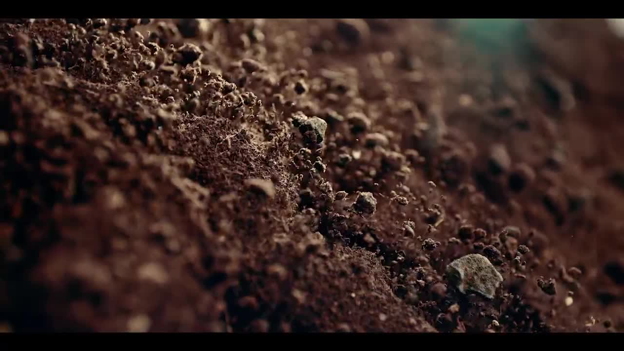 Apollo 8: In the Beginning