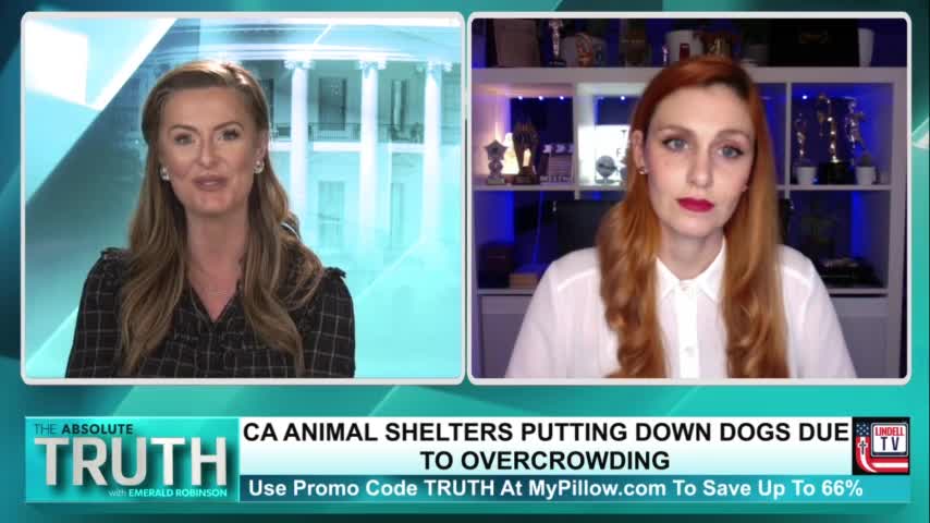 LA COUNTY ANIMAL SHELTERS FACE OVERCROWDING