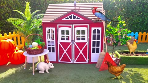 Oliver, Diana and Roma Feeding Animals at the Farm