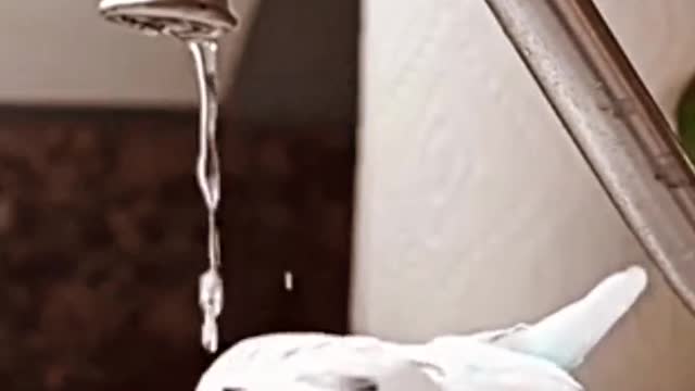 Cute 😍 shower cool 😍
