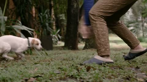 A woman playing with her medium sized dog off leash outside running fast in slow motion