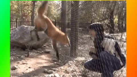 Funniest Animals Video 2023