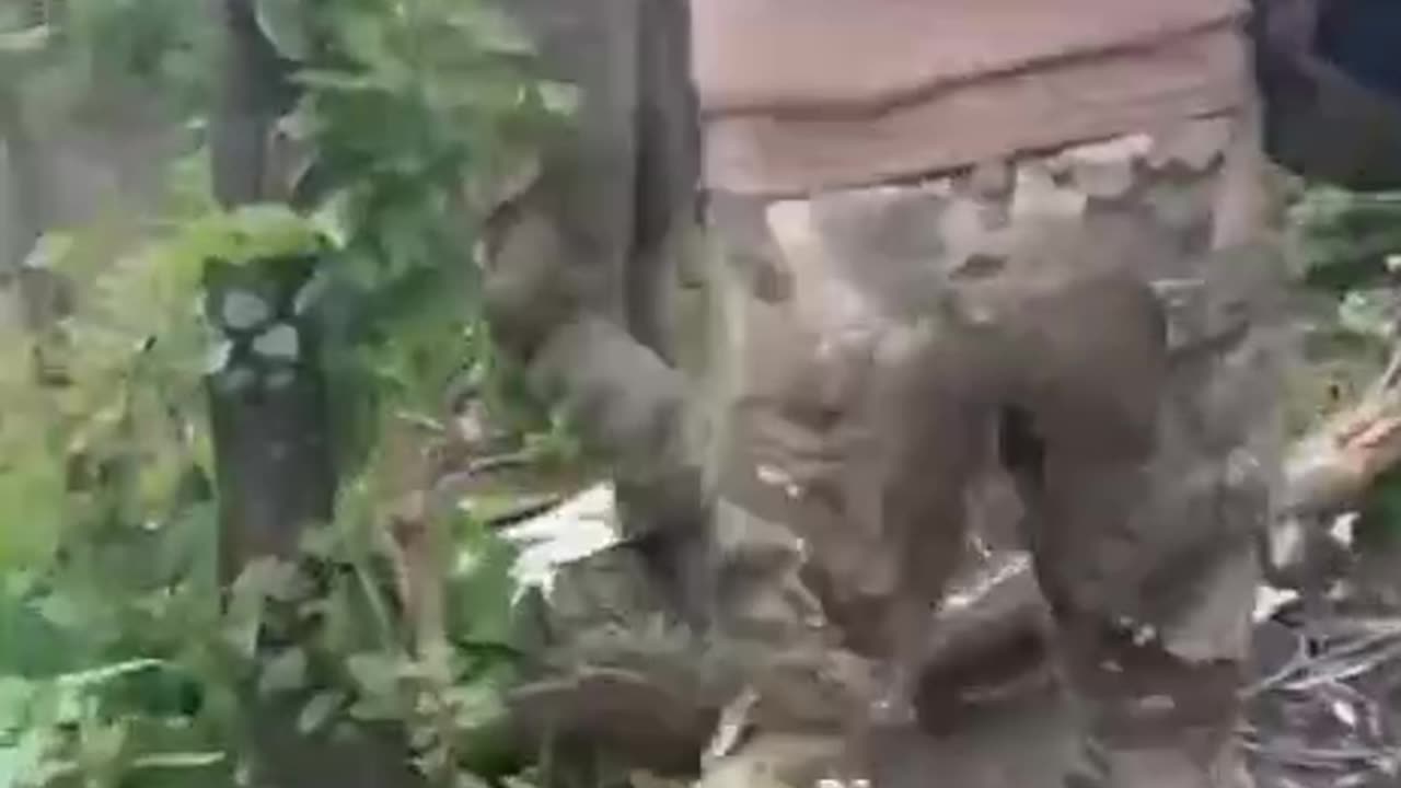 Moving Russian POWs back From the Front