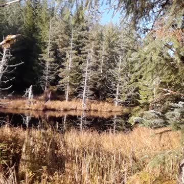 Hunting the unnamed lake in Alaska