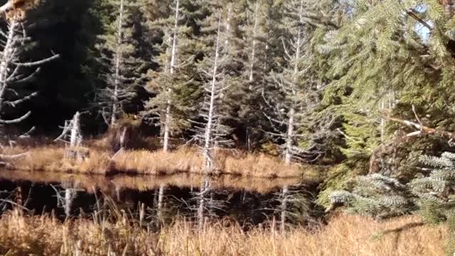 Hunting the unnamed lake in Alaska