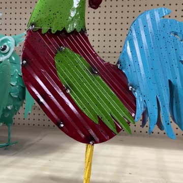 There’s a rooster 🐓