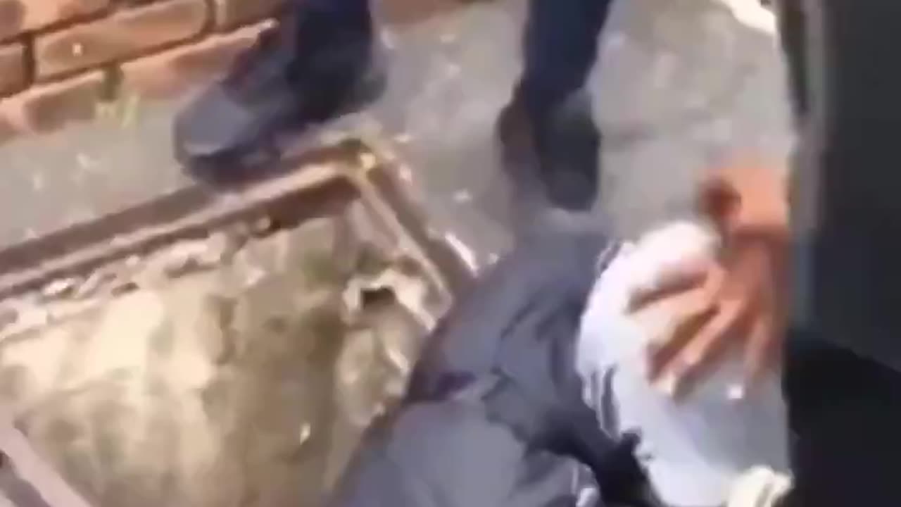 Illegal Aliens Forcing French Kid Into A Sewer