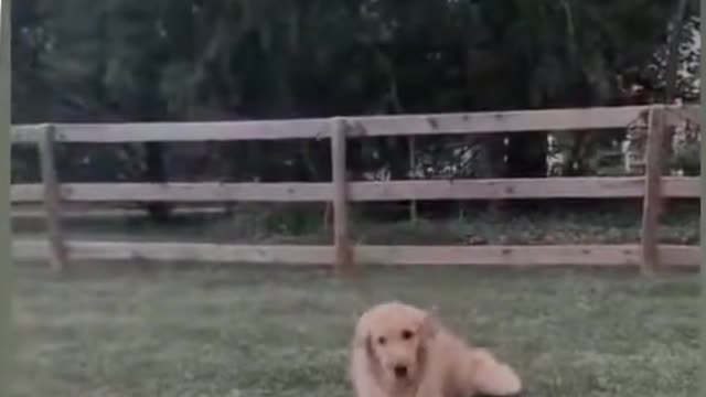 what do you need