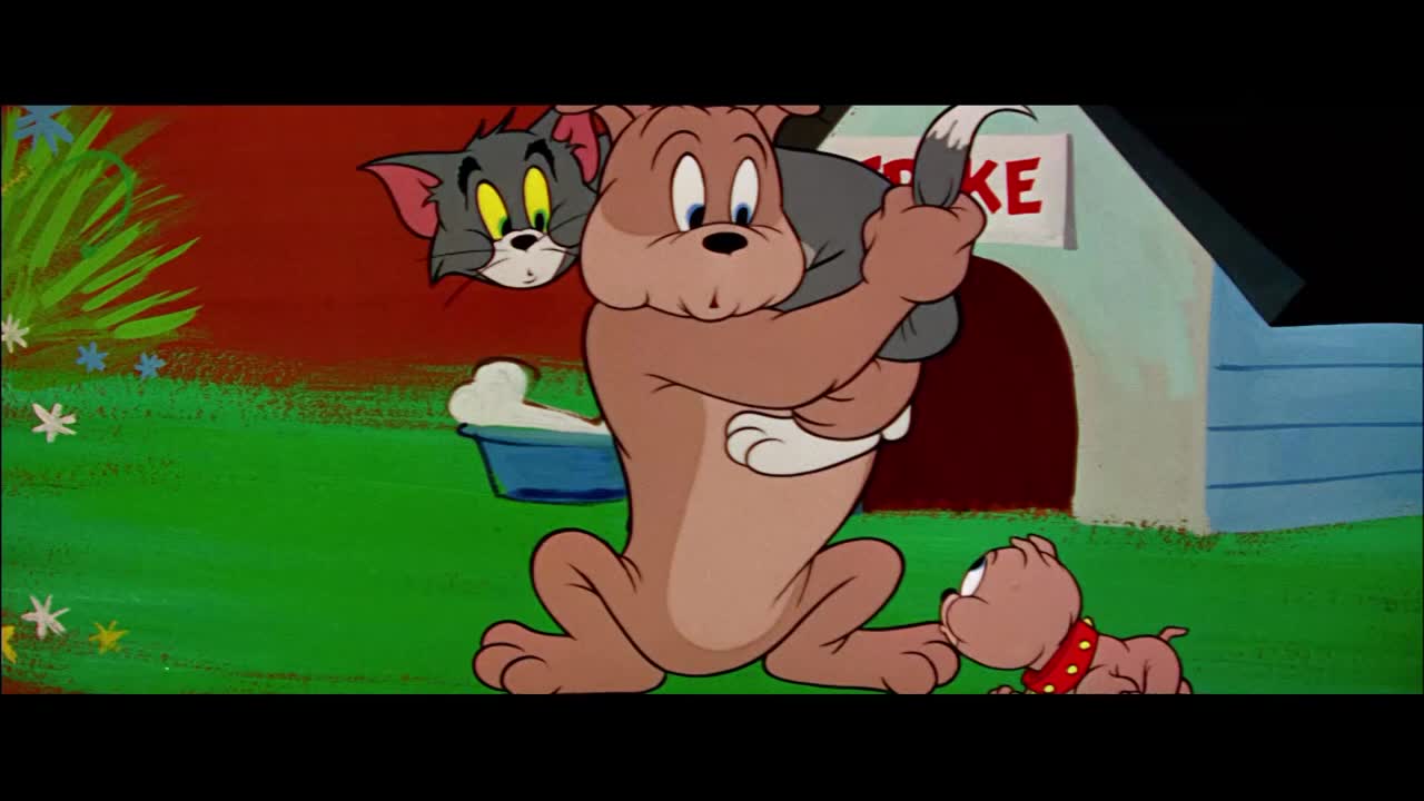 Tom y Jerry en Latino | Tu entretenimiento para el fin de semana | WB Kids