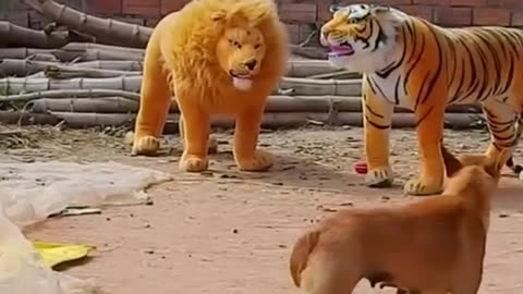 Your strongest reaction is to make a dog see an effigy lion