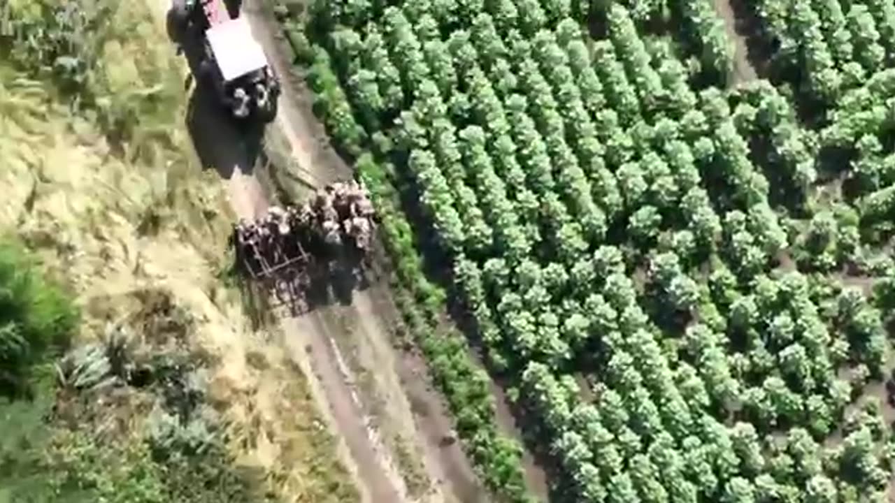 New Ruzzian infantry vehicle.