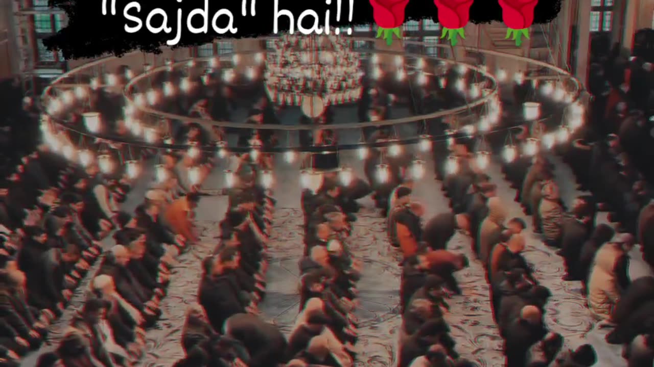 Sajda