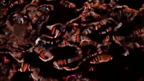 Trippy Stock Footage: Shimmering Light on Paint