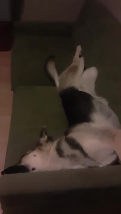 Does This Look Comfortable To You?