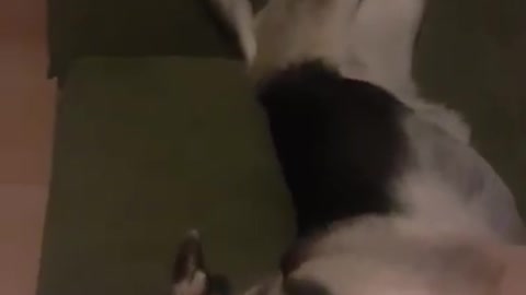 Does This Look Comfortable To You?