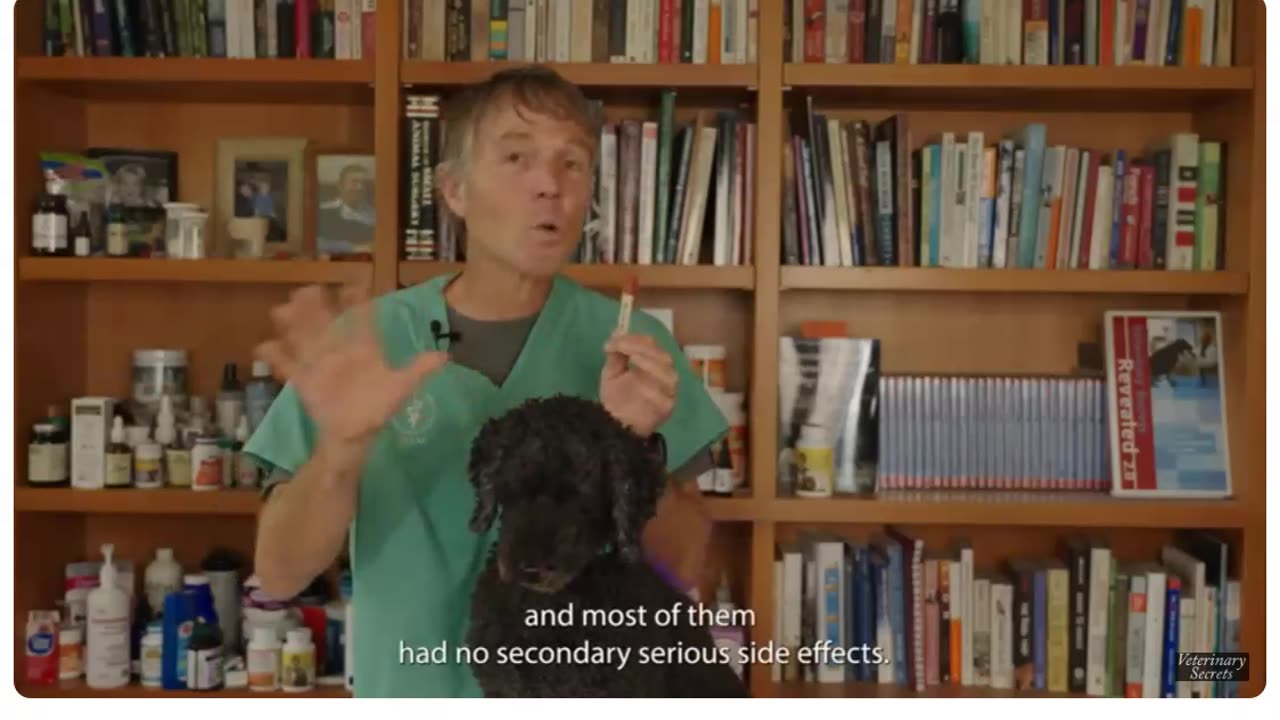 Ivermectin for Cancer in Dogs Doses and Regimens 2.23.24