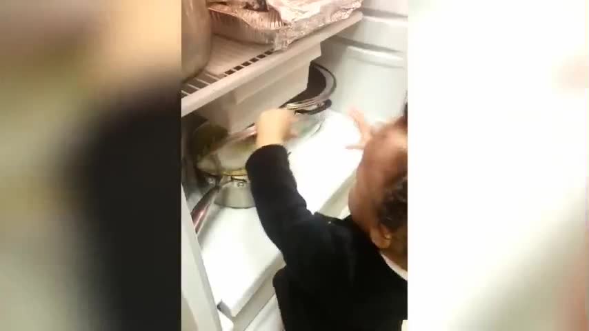 funny baby sneaks to the refrigerator