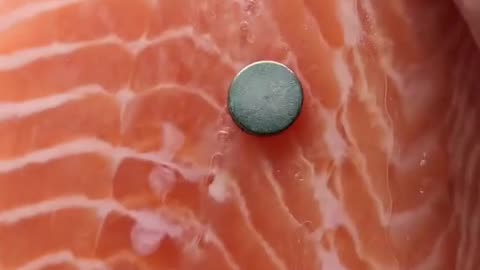 Magnet TEST