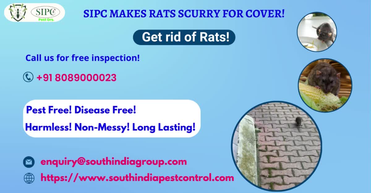 Rodent Control Bangalore