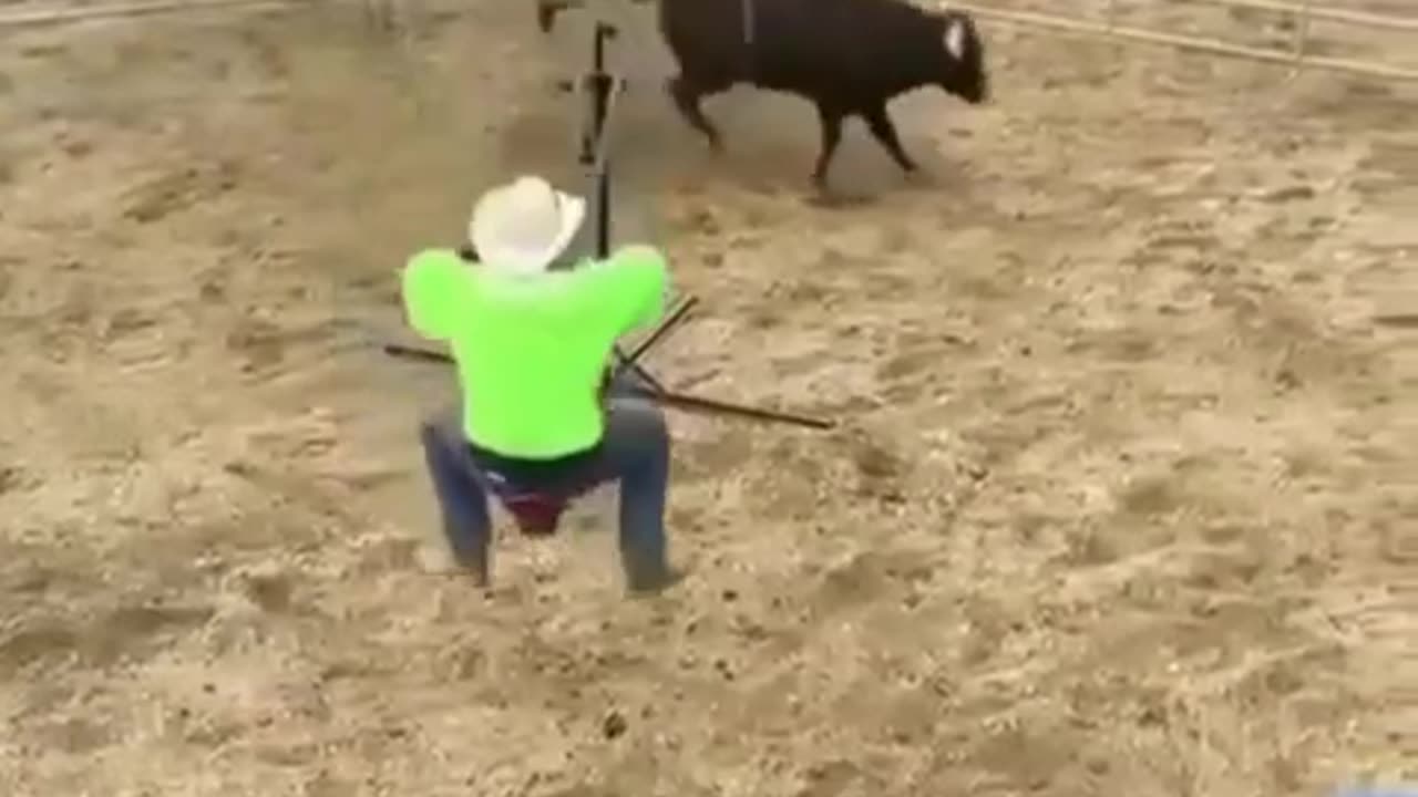 Troll the Bull. 😂😂