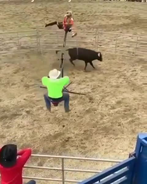 Troll the Bull. 😂😂