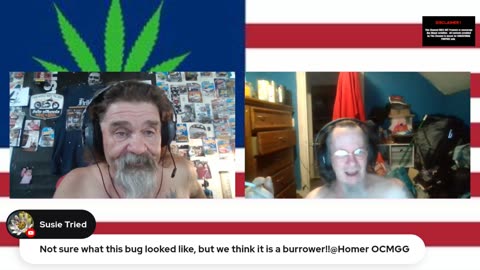 Devo's weed chronicles
