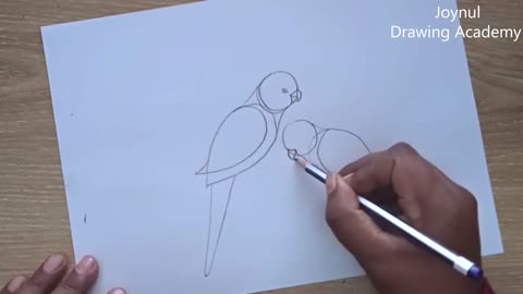 How to draw parrot couple on tree step by step very easyp2