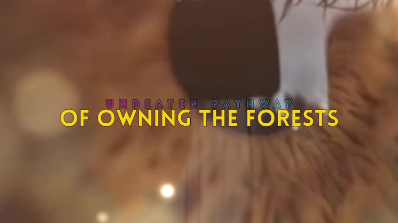 We Need To Release The Ownership Propensity