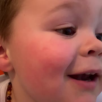 Angus meeting willow