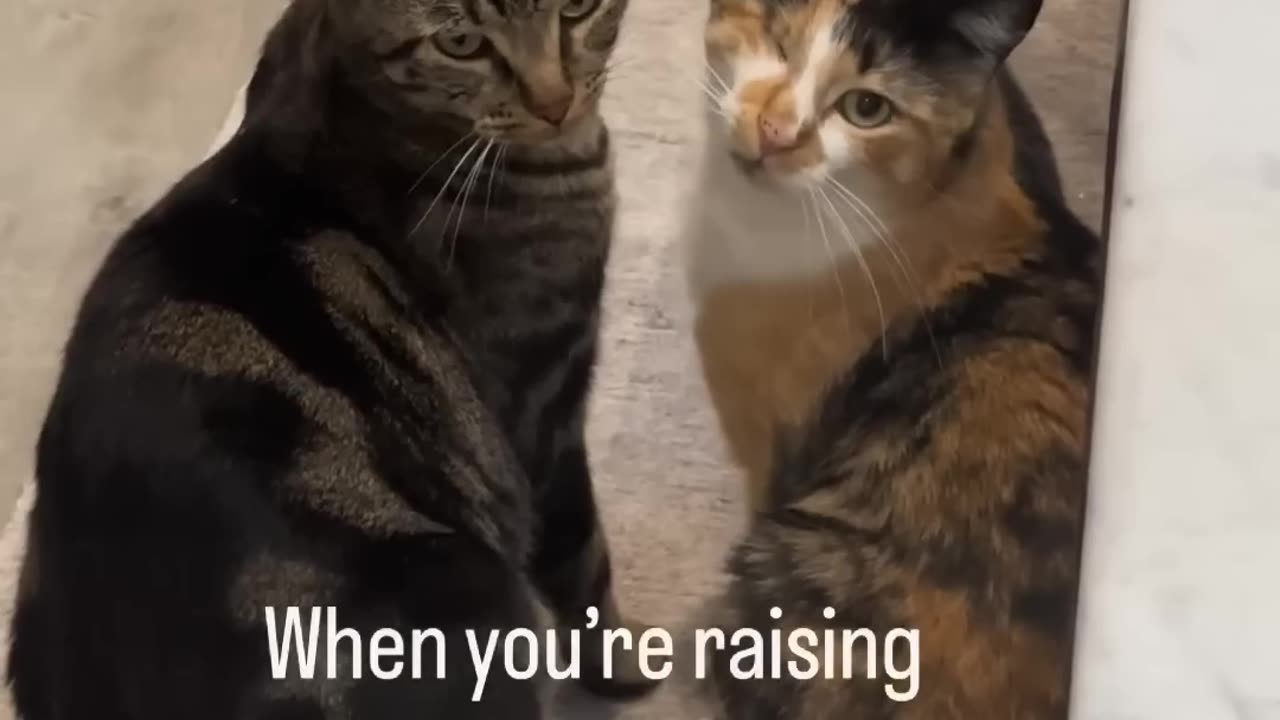 THE_WAY_THEY_BOTH_LOOKED_AT_ME_😭_#viral(1080p)