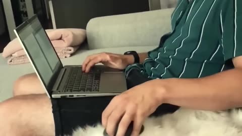 Funniest cats🐱In The World😂 Funny and Fails Pets Video