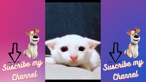 Cute....