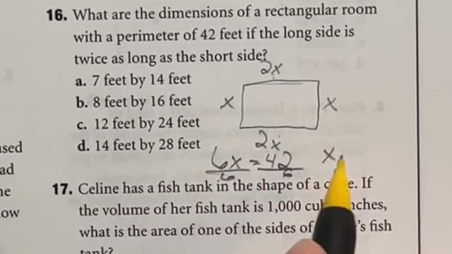 Area and perimeter are common topics