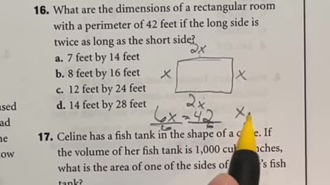 Area and perimeter are common topics