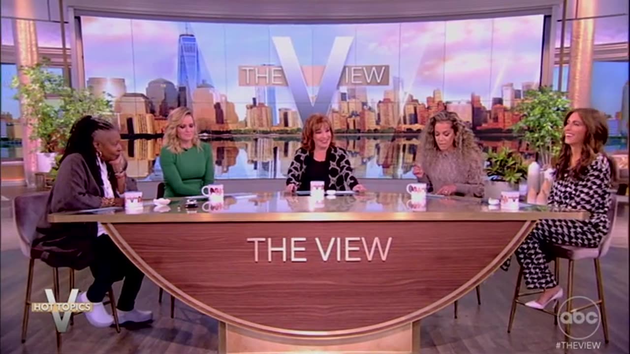 'The View' Co-Hosts Repeatedly Talk Over Each Other While Debating Nikki Haley