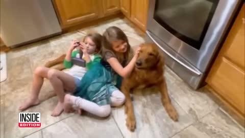 Family Dog Protects 2 Missing Girls Lost in the Woods