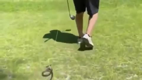 rubber snake prank