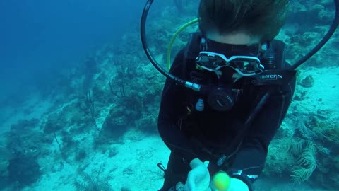 Underwater Fun With An Egg