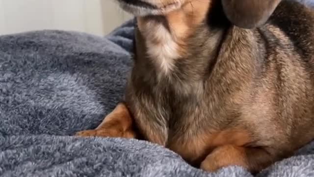 Betcha can’t guess her favorite word