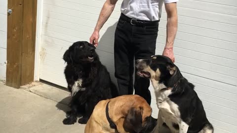 Mandy, Molly, Blitz and Myself outside the factory.