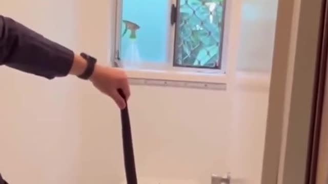 A snake catcher was called to remove a redbellied black snake froma bathroom in Queensland