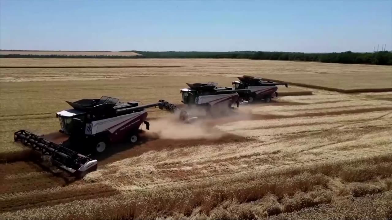 Bloomberg: Russia leads the world wheat export market for the second year in a row