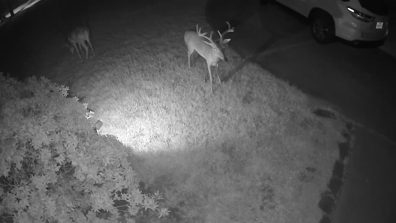 9pt - August 13, 2023 0045