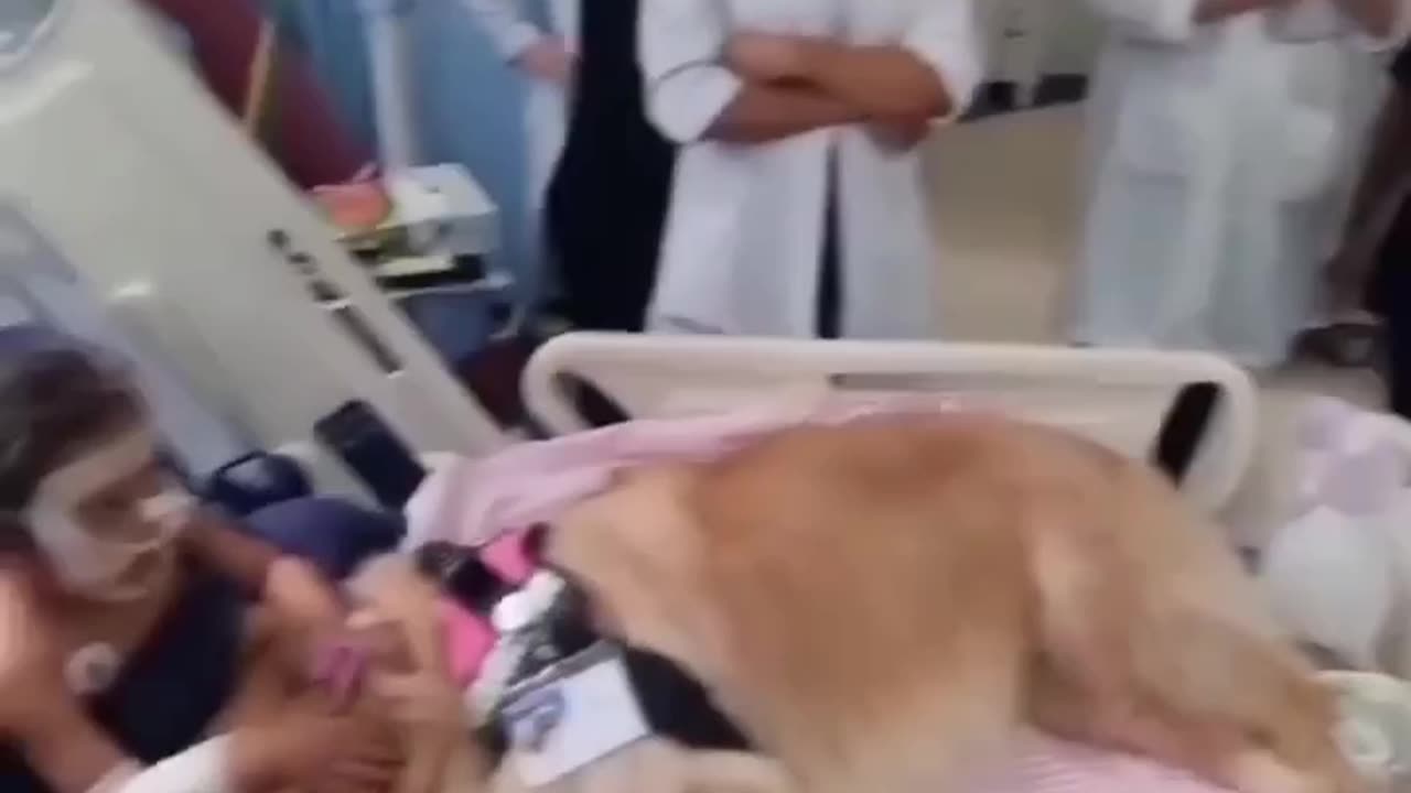 A Dog Heart Touching Baby ❤️‍🩹 , Baby and Dog Together in Hospital on a Bed 💔.