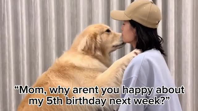 "Mom, why arent you happy about my 5th birthday next week?"
