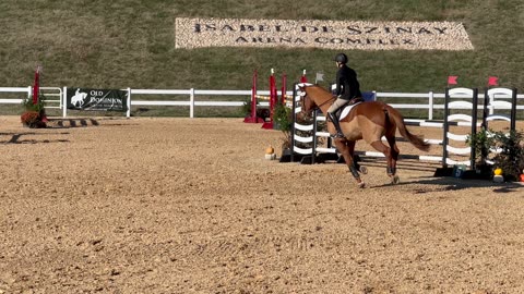 Horse Jumping - Virginia Horse Center Lexington, Virginia