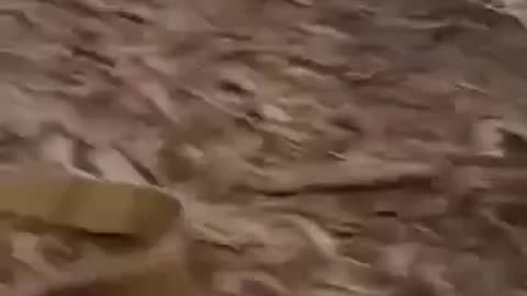 “Looks like we are encircled”: Ukrainian fighters clearly did not expect this😂