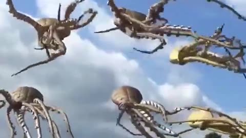 These Octopus Kites Look Insane #shorts #viral #shortsvideo #video