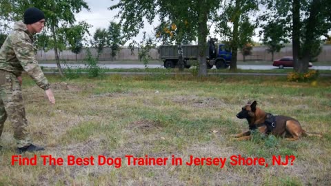 Jersey Shore Canine, LLC. - Best Dog Trainer in Jersey Shore, NJ